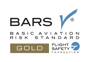 BARS Gold Logo reduced